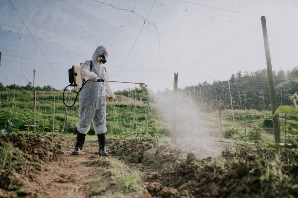 Best Affordable Pest Control Services  in Tioga, ND