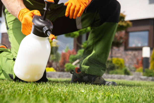 Wildlife Control Services in Tioga, ND