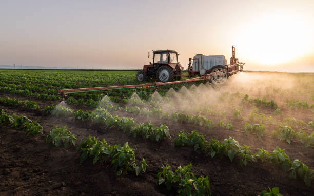 Best Commercial Pest Control Services  in Tioga, ND