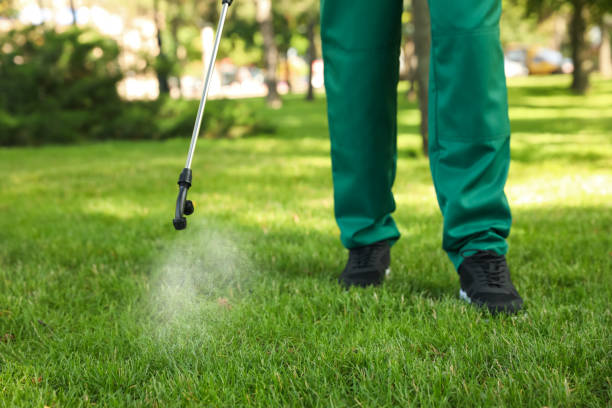 Best Flea Control Services  in Tioga, ND