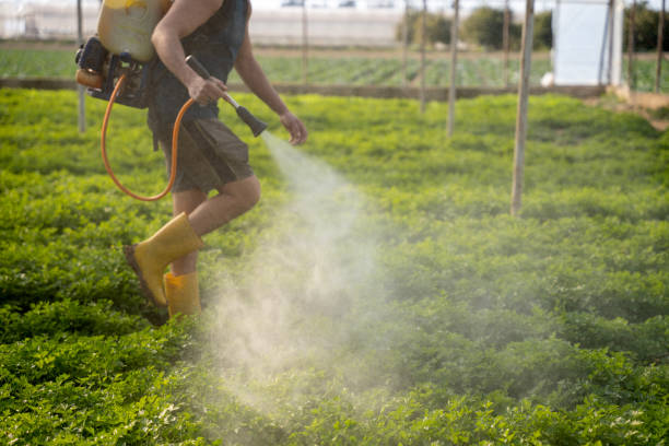 Best Exterminator Services  in Tioga, ND