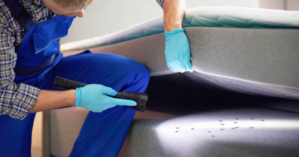 Best Bed Bug Extermination  in Tioga, ND