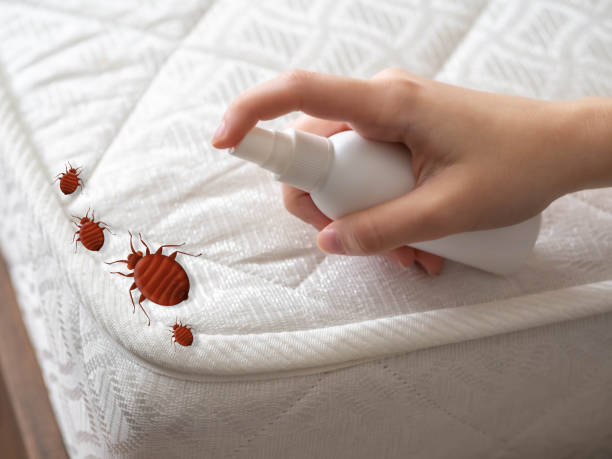 Best Pest Inspection Near Me  in Tioga, ND