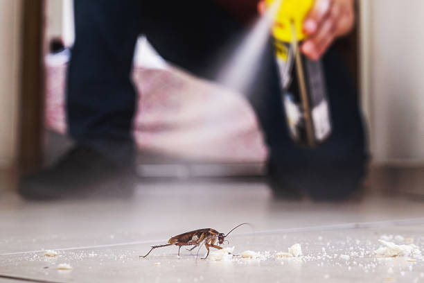 Best Local Pest Control Services  in Tioga, ND