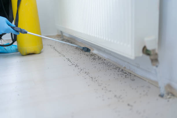 Best Affordable Exterminators  in Tioga, ND