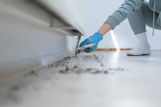 Best Emergency Pest Control  in Tioga, ND