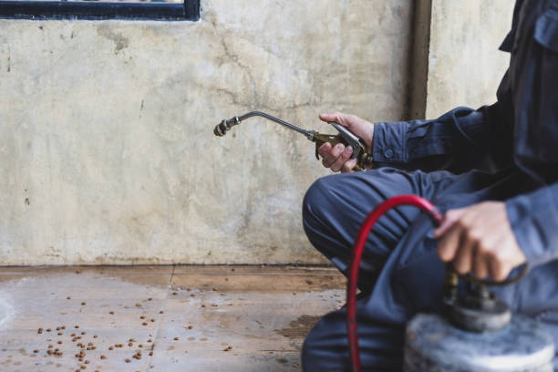 Best Pest Prevention Services  in Tioga, ND