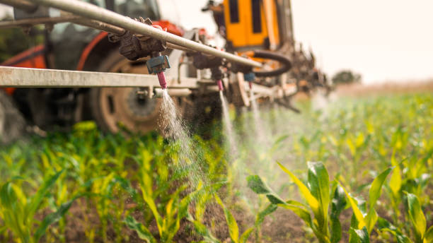Best Pest Prevention Services  in Tioga, ND
